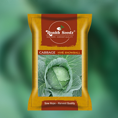 Cabbage Pack