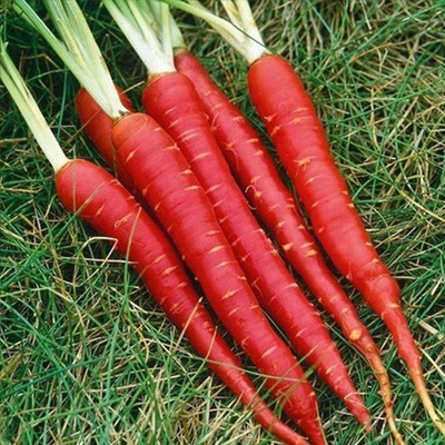 Laal Pari