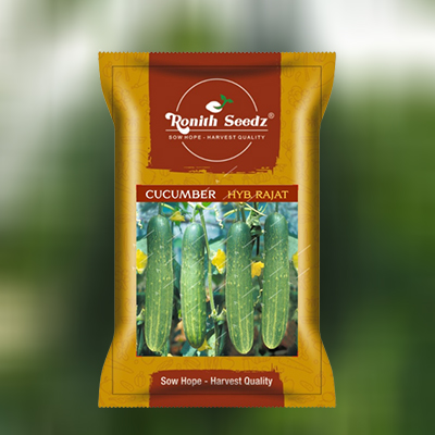 Cucumber Pack