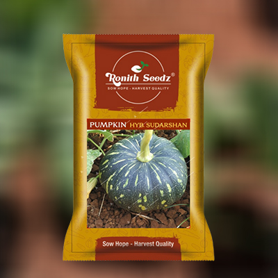 Pumpkin Pack